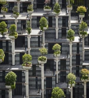 1000 TRees, Shanghai, China, Qingyan Zhu